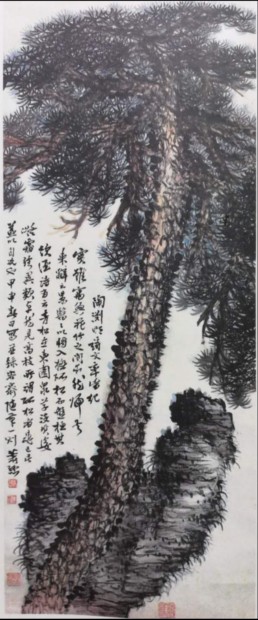 图片12.png