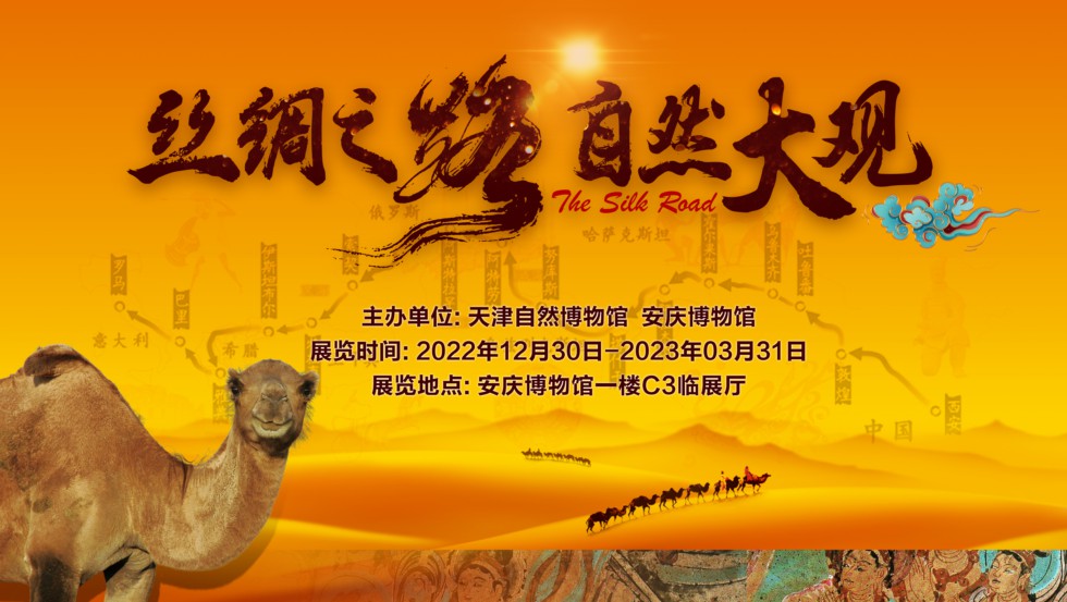 丝绸之路横屏.jpg