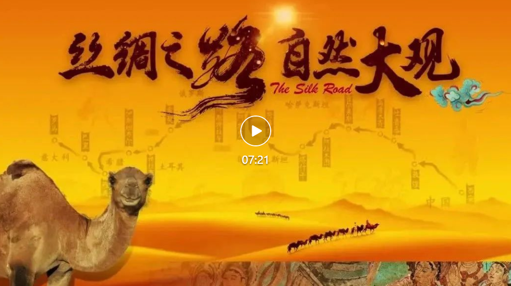 《丝绸之路 自然大观》